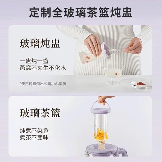 九阳全玻璃沸萃养生壶1.5L炖煮一体办公室烧水壶电热花茶壶煮茶器 商品图13