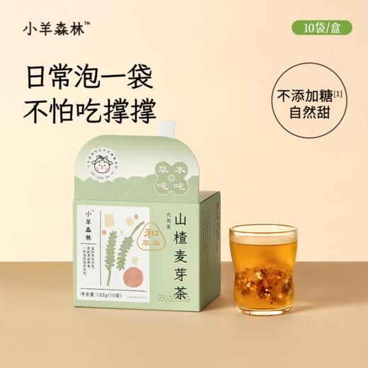 健脾开胃组（古方四神饮+山楂麦芽茶）月用量 商品图5