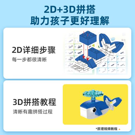 【趣味造型，动物科普】4岁+ 动物科普 玩中学 动物知识科普社交 商品图2