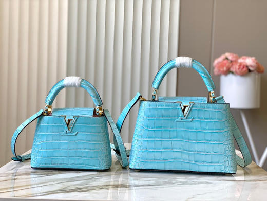 秋冬特惠💰1530 渠道级LV 新品 te级LV  N93163/M48865蓝鳄鱼纹 商品图9
