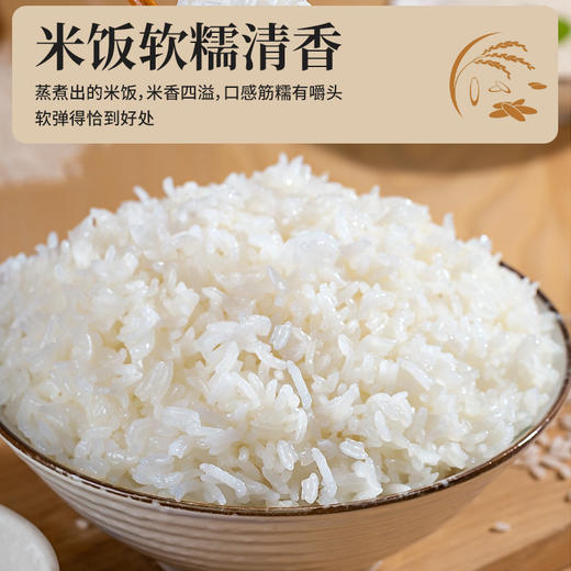 【侗家汉·生态米】5KG装高山梯田种植优质稻米 颗粒饱满 口感香糯 商品图5