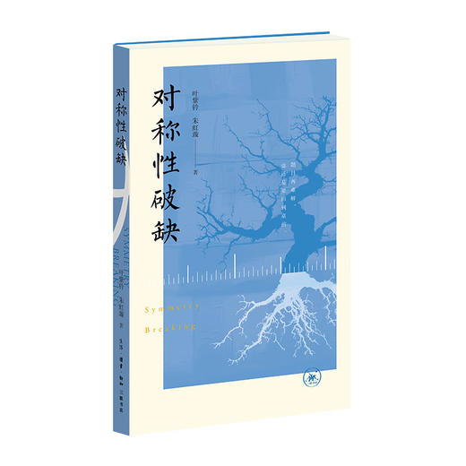 对称性破缺 商品图1