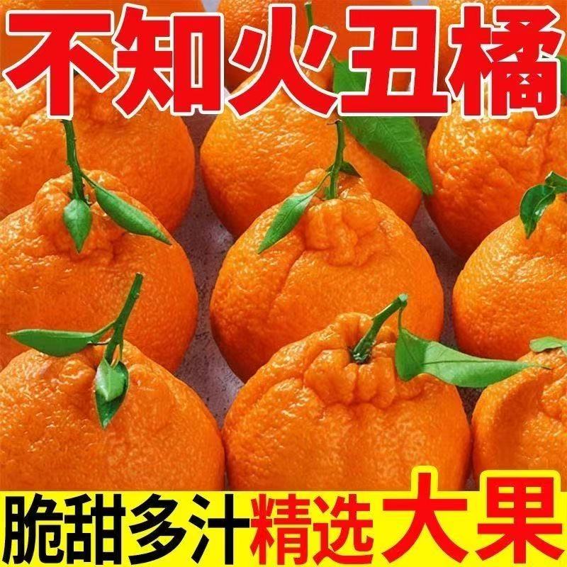【秒杀❗29.9抢5斤🔥四川不知火丑橘】甜蜜多汁，徒手轻捏就能榨出汁，营养丰富！非四川38号橙子，新鲜当季水果柑橘蜜桔子，2026马年春节新年货礼物L