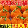 【秒杀❗29.9抢5斤🔥四川不知火丑橘】甜蜜多汁，徒手轻捏就能榨出汁，营养丰富！非四川38号橙子，新鲜当季水果柑橘蜜桔子，2026马年春节新年货礼物L 商品缩略图0