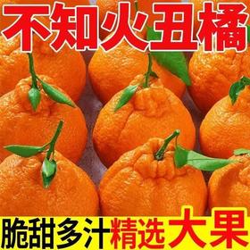 【秒杀❗29.9抢5斤🔥四川不知火丑橘】甜蜜多汁，徒手轻捏就能榨出汁，营养丰富！非四川38号橙子，新鲜当季水果柑橘蜜桔子，2026马年春节新年货礼物L