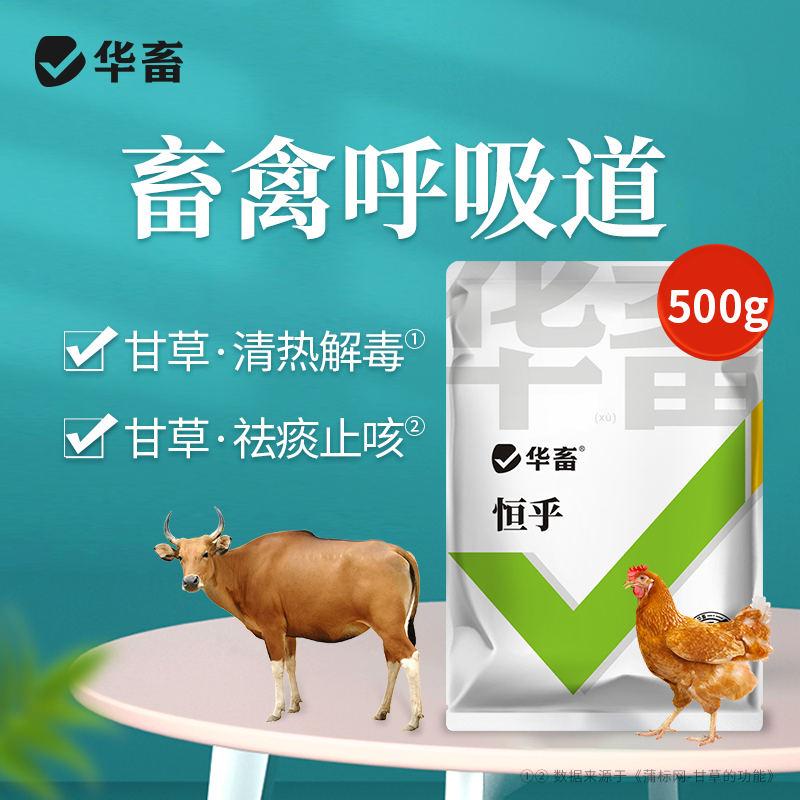 华畜恒呼禽畜呼吸道猪牛甘草祛痰止咳清热解毒桔梗宣肺泄热添加剂