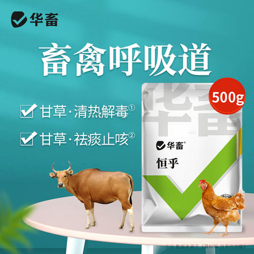 华畜恒呼禽畜呼吸道猪牛甘草祛痰止咳清热解毒桔梗宣肺泄热添加剂 商品图0