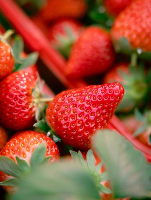 【京小莓·草莓】惊喜上线，圣诞红草莓-2-2.5斤/礼盒装-3小盒45枚大果，果香浓郁，甜度高 商品图5