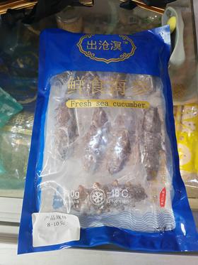 出沧溟鲜食海参