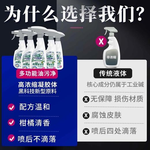 白倍极多功能油污净 商品图3
