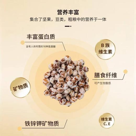 布鲁沐莎油莎豆·本豆| 252g/罐 商品图3