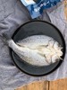 开背海鲈鱼  肉质细腻厚实 去内脏去腮去鳞  大规格单条600g/条 商品缩略图2