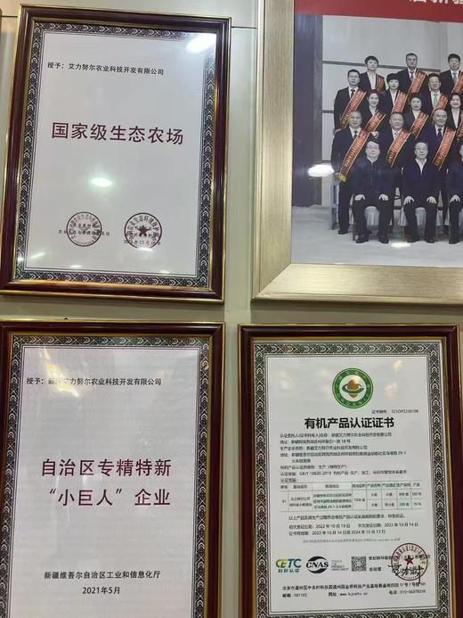 【新疆有机面粉】低速低温低压研磨技术 高筋粉 麦香浓郁  细腻劲道    5斤/袋 商品图4