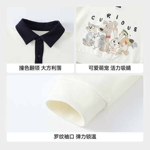 【实体店同款】男童翻领针织卫衣春季新款安奈儿童装XB611064 商品图4