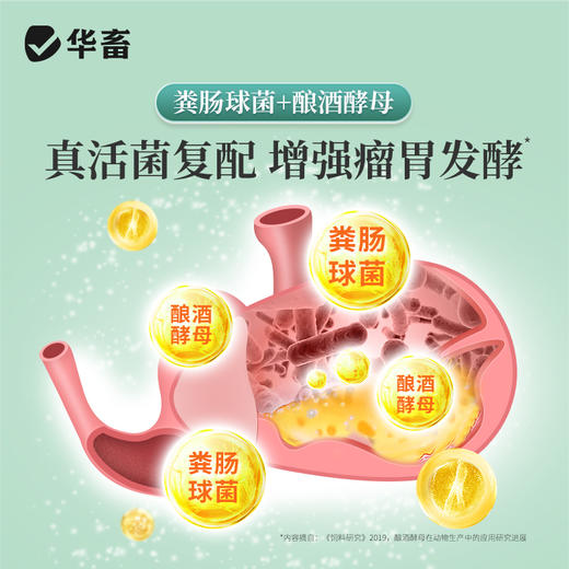 华畜健胃肽兽用牛羊真活菌增强瘤胃发酵提高采食量促生长补营养 商品图3