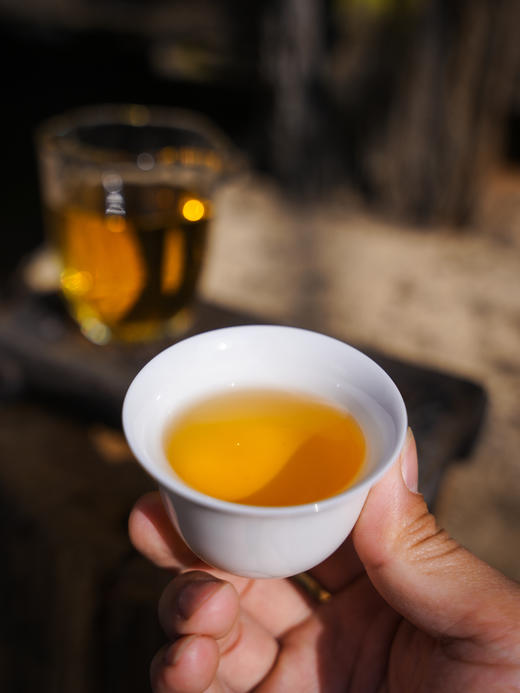 【至尊冰岛老寨】2018年冰岛老寨古树（60%）+2023年冰岛老寨古树（40%）限量66片（357g/片） 商品图4