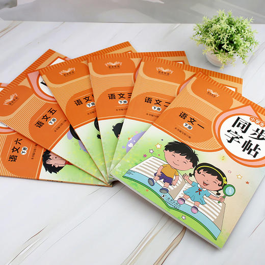 小学生同步字帖 语文 英语 海豚出版社 商品图1