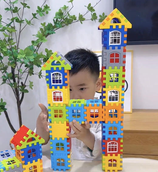 出口外贸拼装积木乐园 商品图5