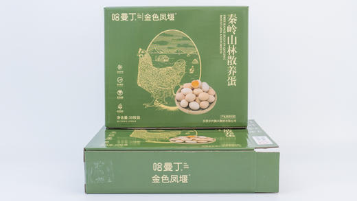 🔥【哈曼丁|金色凤堰（爱心助农）秦岭山林散养蛋】 ✅散养土鸡就养在秦岭巴山中间 ✅满山都是树 🌼没有工业污染 空气清新 ✅土鸡吃的是五谷饲料、野草、虫蚁、🍁喝的溪水全是天然的 商品图5