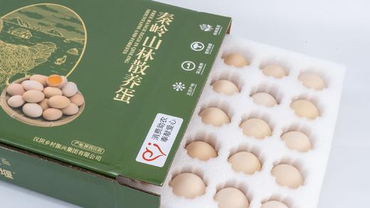 🔥【哈曼丁|金色凤堰（爱心助农）秦岭山林散养蛋】 ✅散养土鸡就养在秦岭巴山中间 ✅满山都是树 🌼没有工业污染 空气清新 ✅土鸡吃的是五谷饲料、野草、虫蚁、🍁喝的溪水全是天然的 商品图4