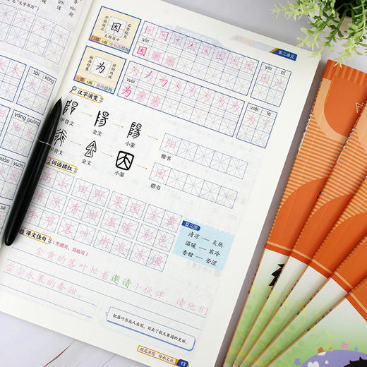 小学生同步字帖 语文 英语 海豚出版社 商品图3