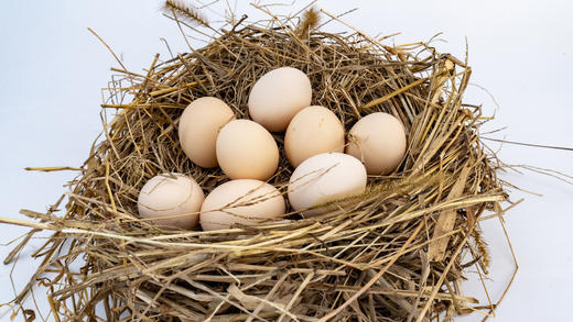 🔥【哈曼丁|金色凤堰（爱心助农）秦岭山林散养蛋】 ✅散养土鸡就养在秦岭巴山中间 ✅满山都是树 🌼没有工业污染 空气清新 ✅土鸡吃的是五谷饲料、野草、虫蚁、🍁喝的溪水全是天然的 商品图0