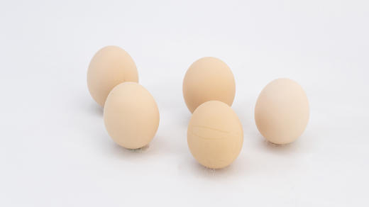 🔥【哈曼丁|金色凤堰（爱心助农）秦岭山林散养蛋】 ✅散养土鸡就养在秦岭巴山中间 ✅满山都是树 🌼没有工业污染 空气清新 ✅土鸡吃的是五谷饲料、野草、虫蚁、🍁喝的溪水全是天然的 商品图3