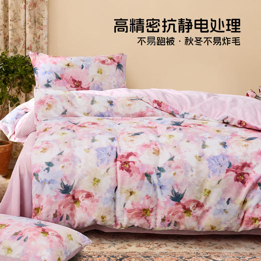 多喜爱 印花牛奶绒套件【不起球 不掉毛】【 A类高克重】【柔软舒适 抗静电】凝香 商品图1