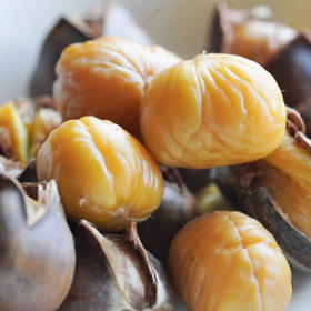 迁西燕山早丰板栗🌰即食板栗仁，天然的清甜，干爽糯香，颗颗粉糯，好吃不用剥，无任何添加，配料只有板栗！