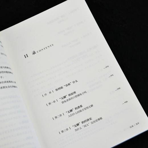 闲暇与无聊 无聊的哲学通俗哲学读物消费主义自我觉醒虚假忙碌重建生活 商品图3