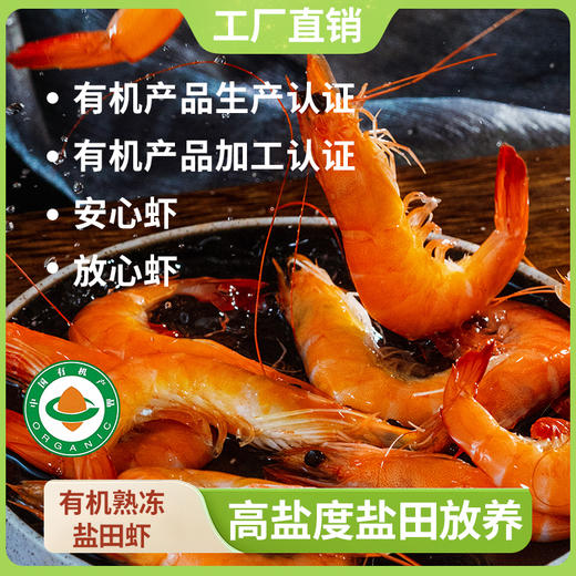 渤海有机无抗盐田虾，肉质饱满鲜甜肥美，低脂高蛋白 商品图0