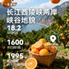 【一甸园子品牌】一甸果园 果汁系列 200ml*10 商品缩略图1