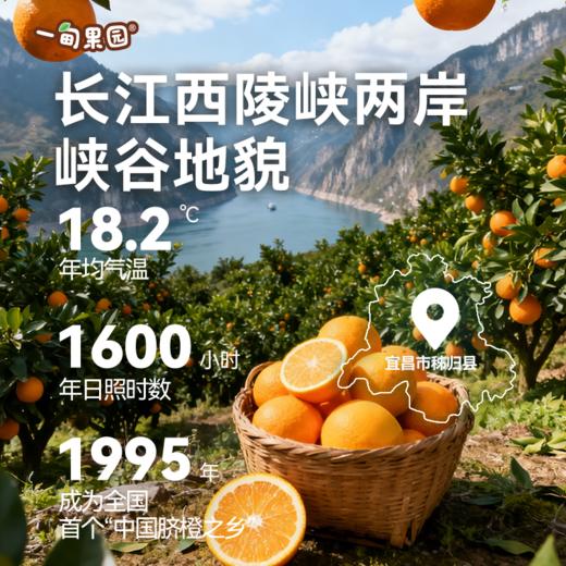 【一甸园子品牌】一甸果园 果汁系列 200ml*10 商品图1