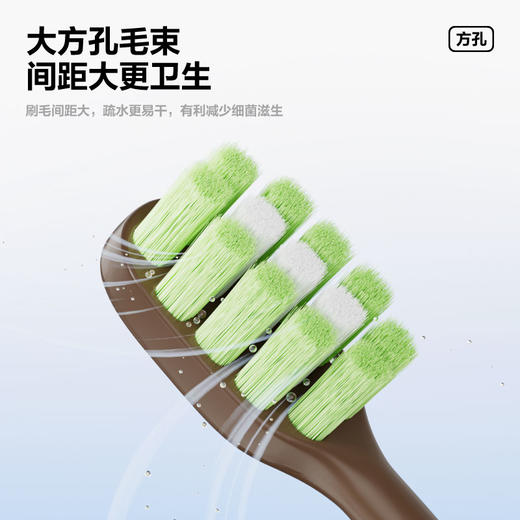 参半黑/白巧棒牙刷(单支装 )48箱规带中箱 商品图2