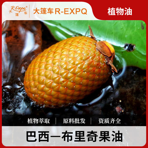 布里奇果油 BURITI 巴西进口基础油原料批发身体按摩油基础油 商品图0