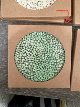 锦江丨蔡星光丨杯垫 龙鳞