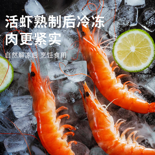 渤海有机无抗盐田虾，肉质饱满鲜甜肥美，低脂高蛋白 商品图13