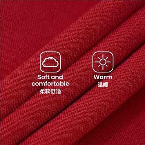 佐丹奴男装25年新款经典百搭连帽抽绳抓绒卫衣01025610 商品图1