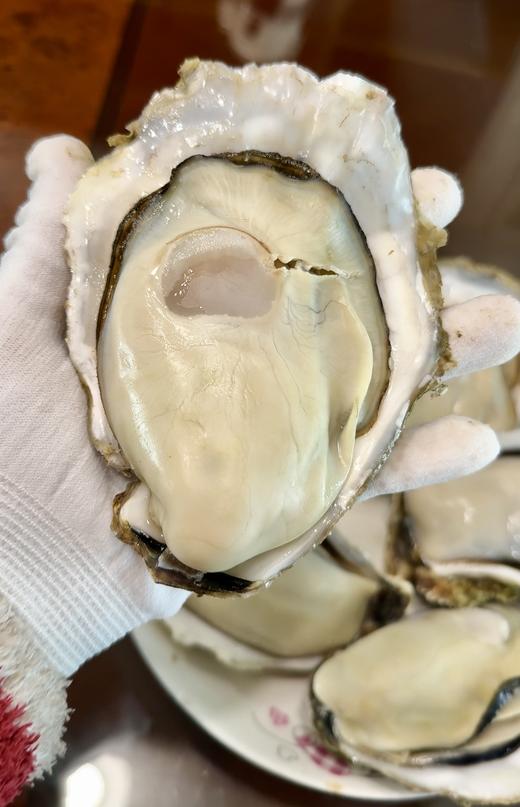 乳山生蚝 山东牡蛎特大肉海蛎子 9斤装 商品图2