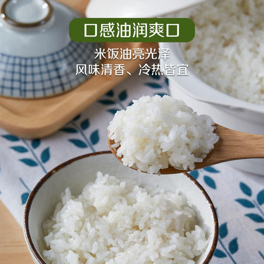 田良长粒香大米5kg-（新老包装随机发货哦~） 商品图3