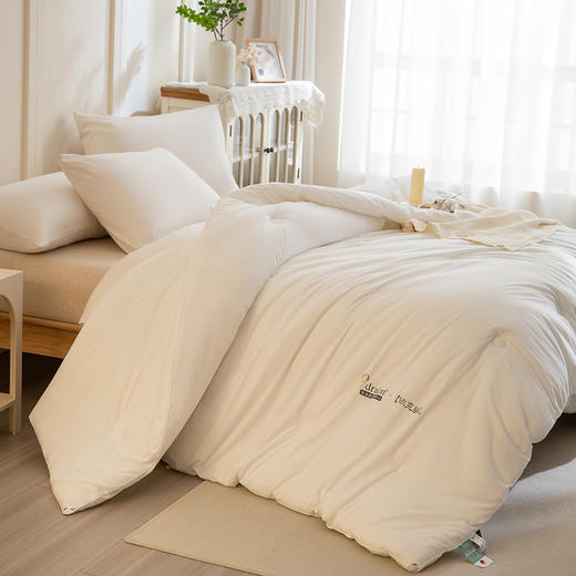 【加厚磨毛面料 整夜恒温安眠】ZOEA 自发热德绒被3.0 表面细腻绒毛 触感温暖 商品图5