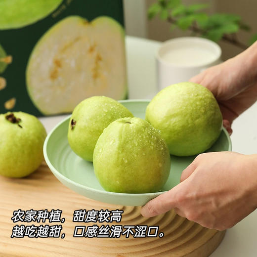 台湾软心白玉芭乐  4斤礼盒装 商品图4