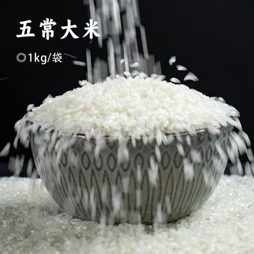五常大米 | 五常稻花香米 真空包装 方便储存屯粮 饭粒油亮软糯 饭香浓郁易吸收 山泉水灌溉 颗粒饱满 清白透亮 商品图0