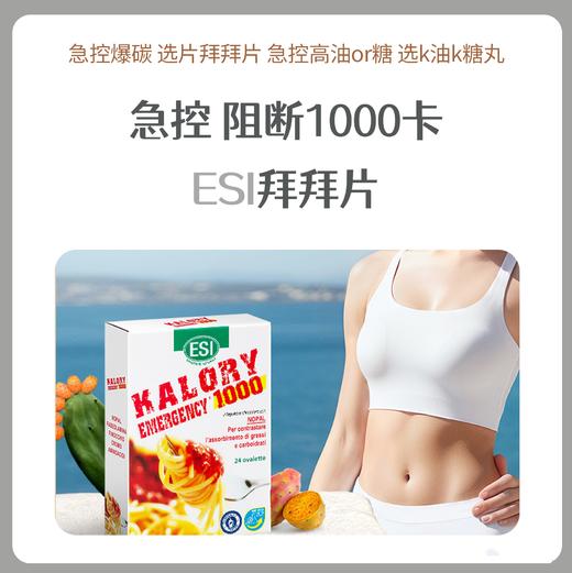 ESI卡路里拜拜片 商品图0