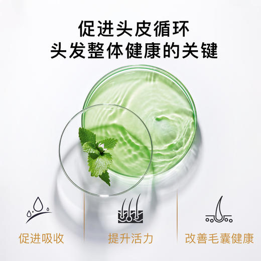大油头洗头皂 ——沁爽三重薄荷 商品图4