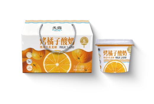 天露烤橘子酸奶135g*12杯 商品图0