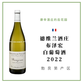 Domaine De Villaine 德维兰酒庄 布泽宏白葡萄酒