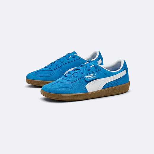 PUMA彪马官方正品童鞋中童休闲德训鞋T头鞋 商品图0