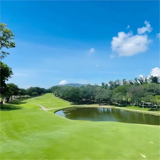 越南头顿·美之城高尔夫球场 Vung Tau Paradise Golf Course   | 胡志明高尔夫球场 | 越南高尔夫球场俱乐部 | 东南亚 商品图2