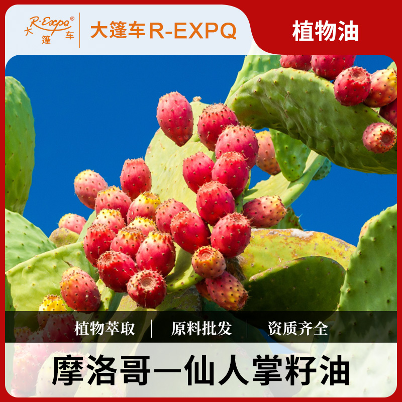 大篷车仙人掌籽油基础油摩洛哥进口SPA肩颈按摩身体护肤